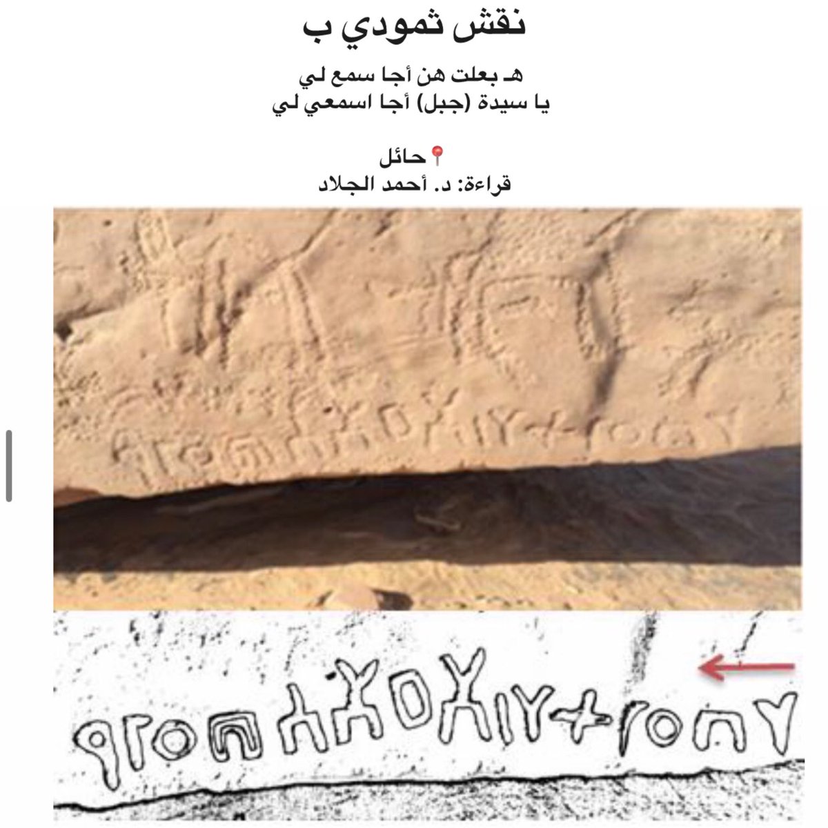 المغيرة Mughira tweet media