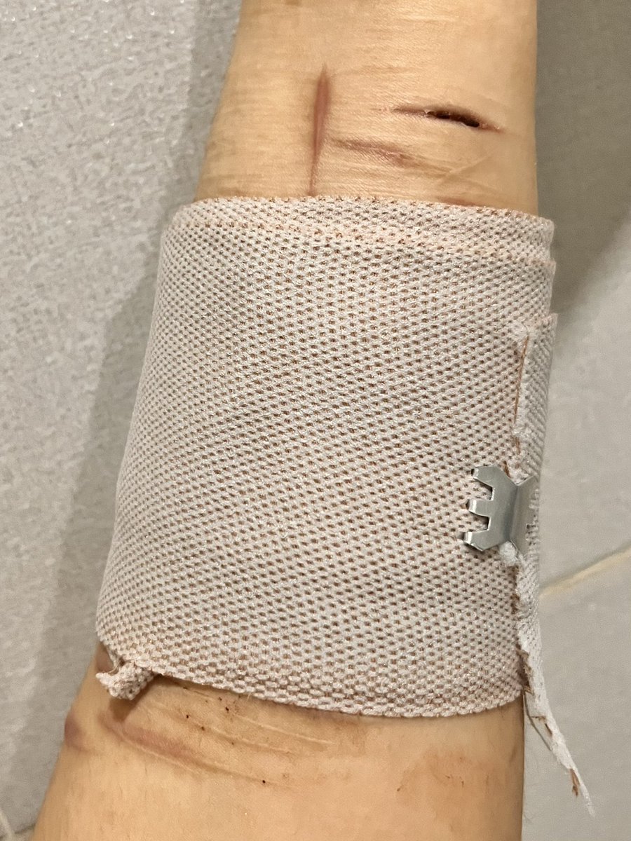 mal | FOLLOWING BACK tweet media