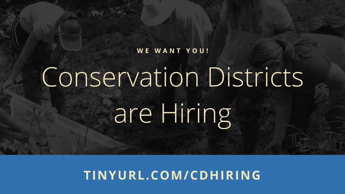 PAConservation's tweet photo. Schuylkill Conservation District is hiring an Invasive Species Program Coordinator https://t.co/ns1xaJ3s62 #ConservationJobs https://t.co/Gr9OTTI9kr