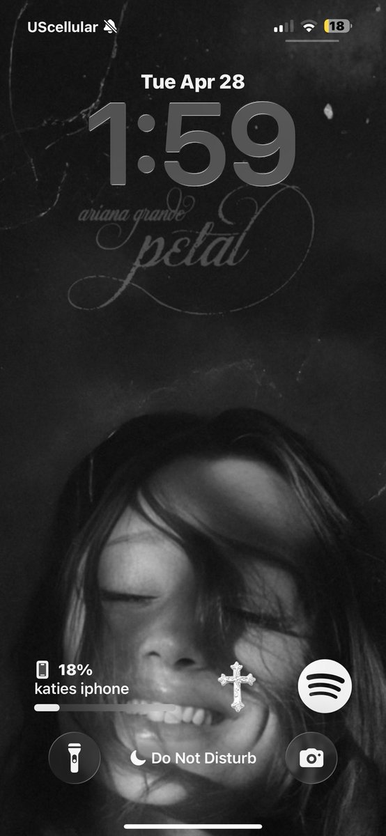 katie ꕤ is seeing ariana tweet media