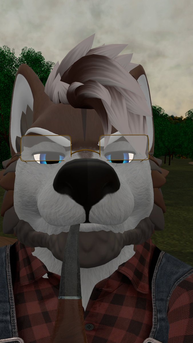 Mocha_Husky tweet media