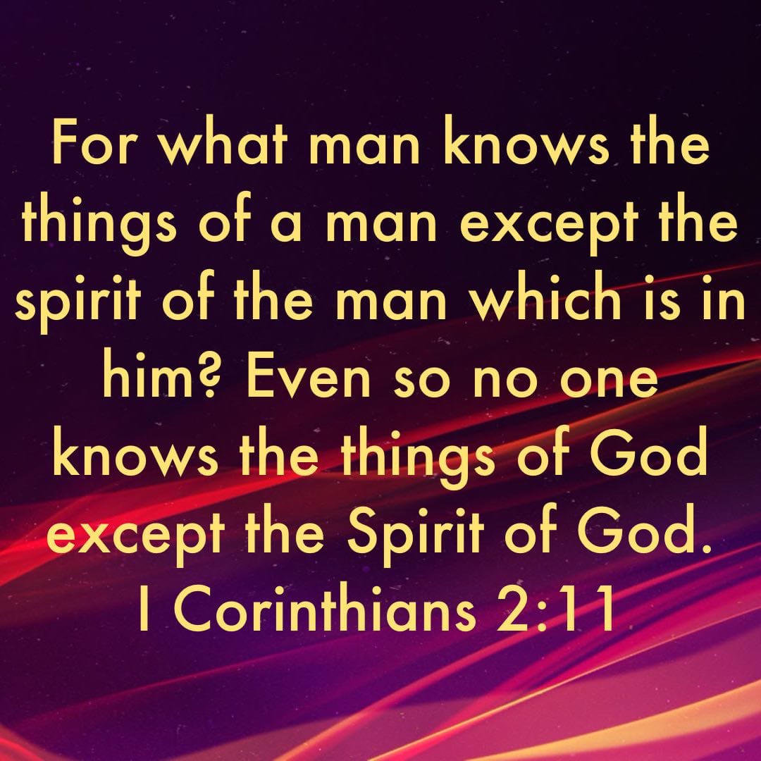 tweets_mb's tweet image. Remember, Holy Spirit is our teacher, and if you spend time with Him studying the Word of God, he will share revelation knowledge with you if you ask Him. 🙏📖

#HolySpirit
