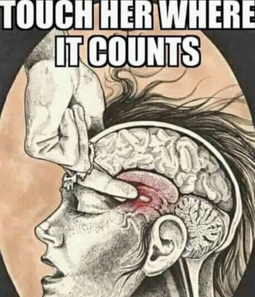 occultbot (@0ccultbot) on Twitter photo 