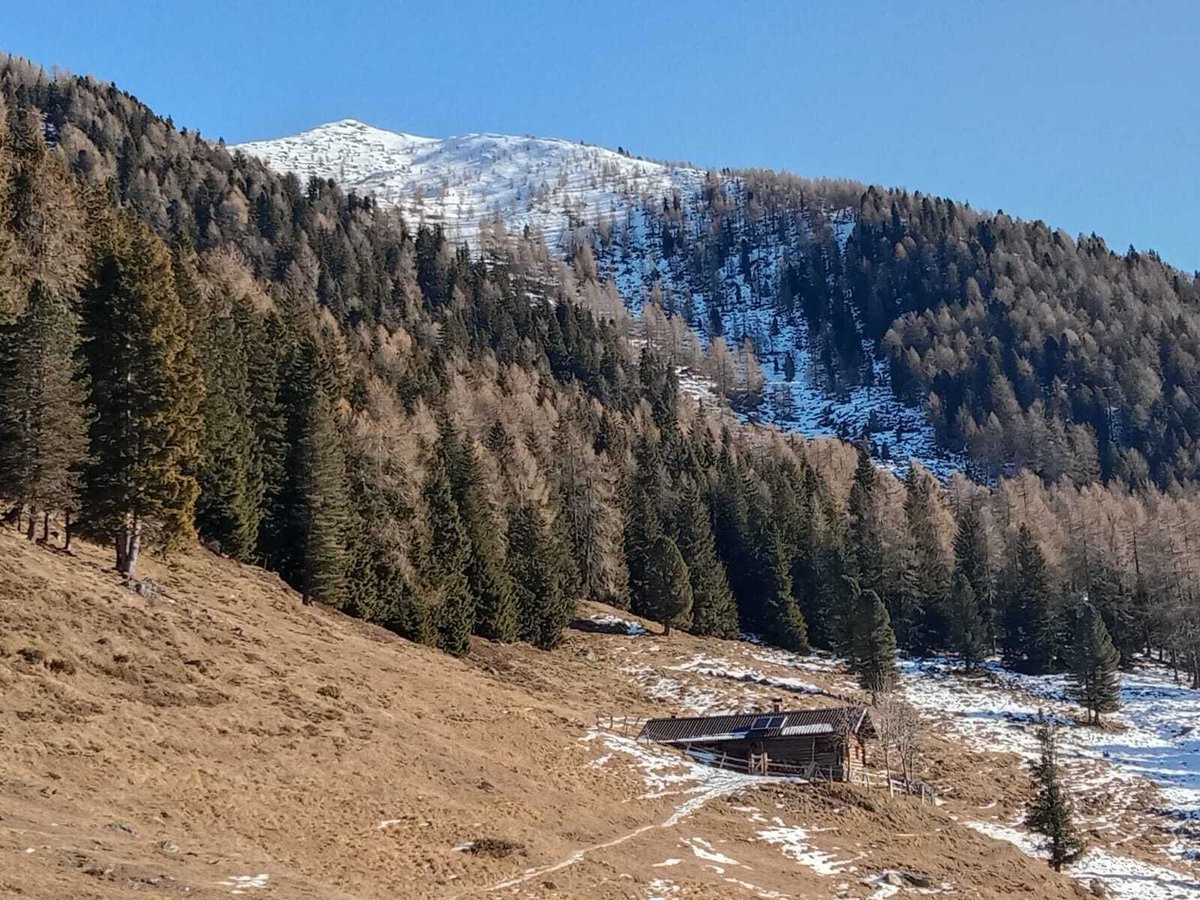 huntingplace7's tweet image. 🌿 Go beyond the ordinary — explore TheHuntingPlace.com
#OutdoorLifestyle #HikingAdventure #CampingGear #FishingFun #NatureLovers