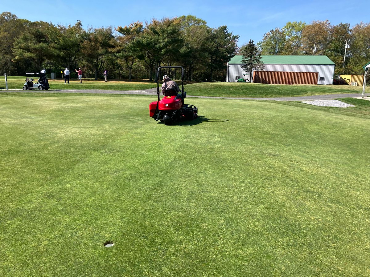 Omega Turf Solutions tweet media