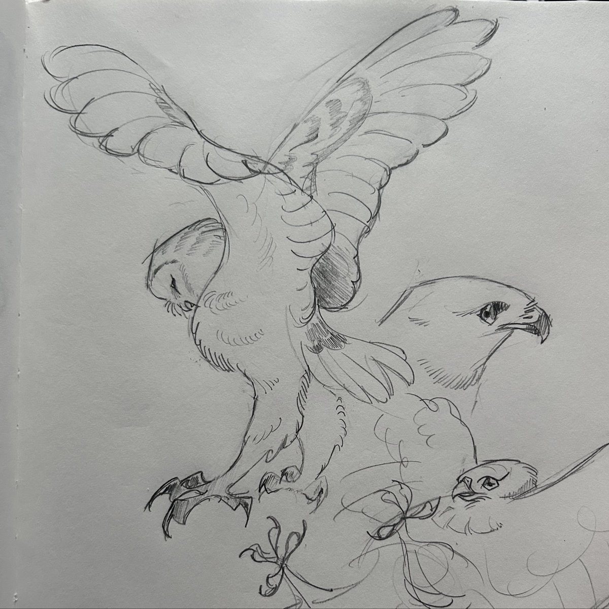 -` kori ´- (@korchivo) on Twitter photo 