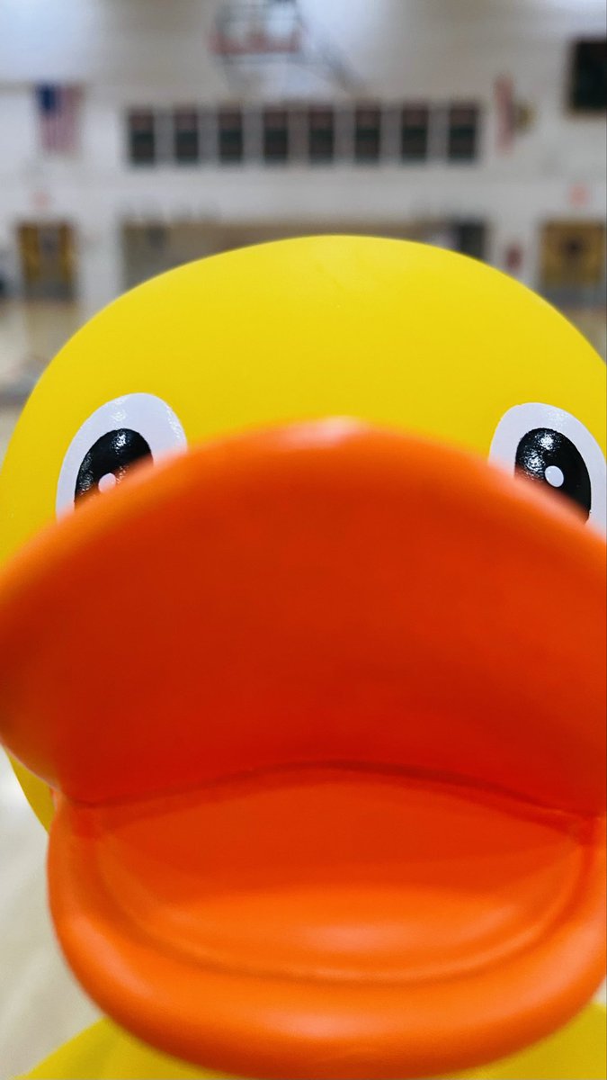 Sj192702's tweet image. My duck #rubberduck  #duck
