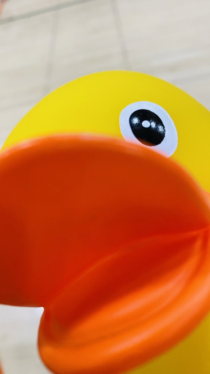 Sj192702's tweet image. My duck #rubberduck  #duck