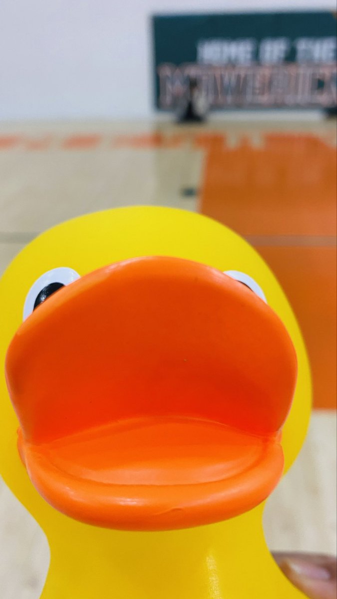 Sj192702's tweet image. My duck #rubberduck  #duck