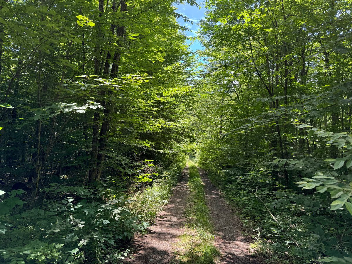 Land_and_Camps's tweet image. 🌲 5 wooded acres in Florence, NY with direct trail access. Ideal off-grid camp lot near state forests, rivers &amp;amp; top hunting land. Great for snowmobiling, fishing &amp;amp; more. Financing available. $39,900. Details: landandcamps.com/ny-camp-lot-em…
#LandForSale #NYLand #OffGrid