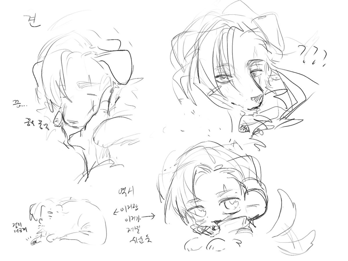 말미잘 tweet media