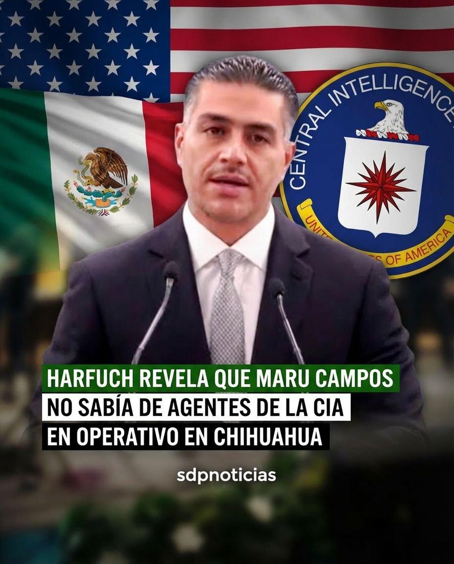 SDP Noticias tweet media