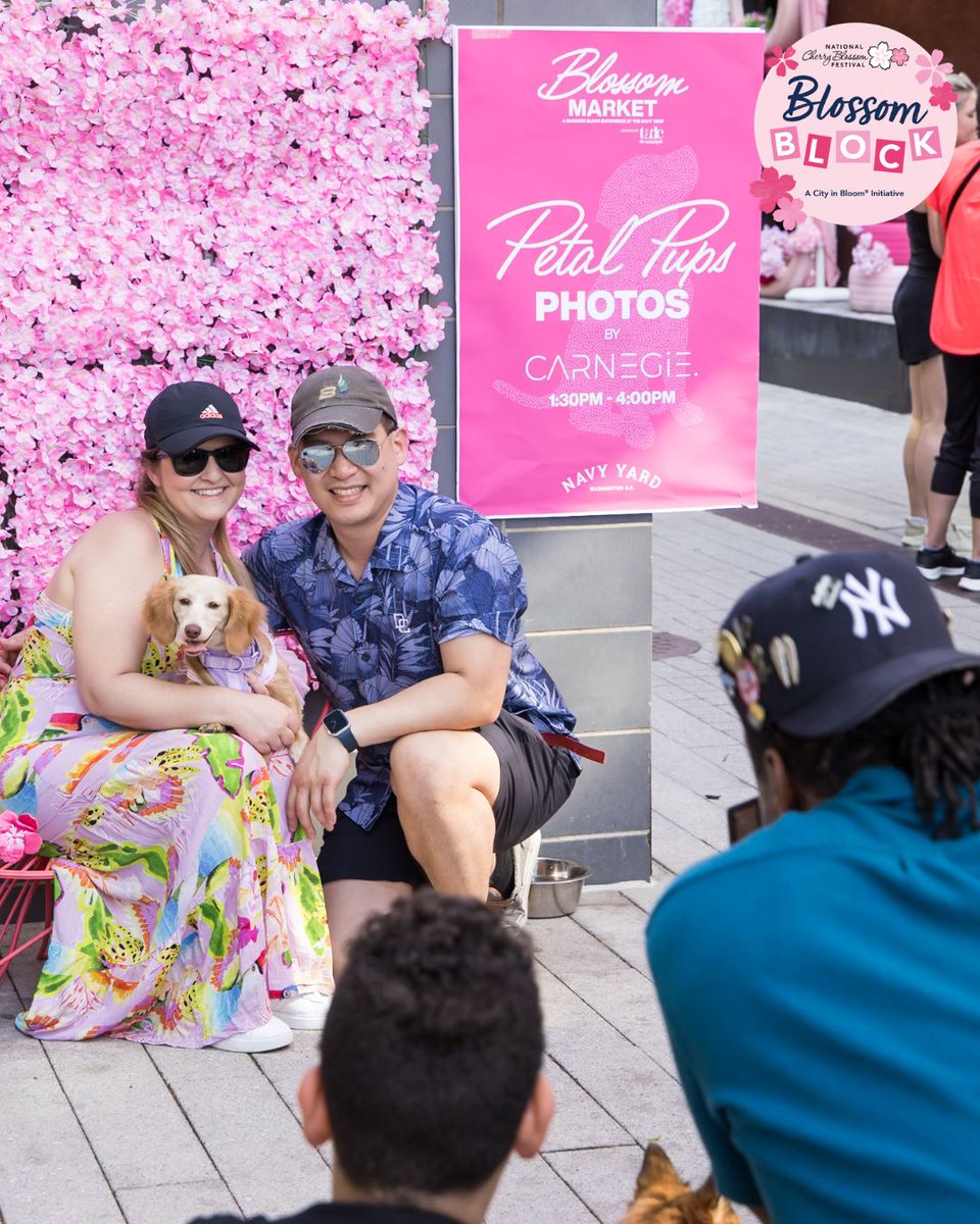 CherryBlossFest's tweet photo. ICYMI: Navy Yard BID transformed a hidden alley into a pink, cherry blossom-filled walkway, with thoughtful, blossom-inspired details around every corner 🌸

Appreciation to the partners who brought it to life and to the community that showed up 🌸 https://t.co/1TqlgeEPUG
