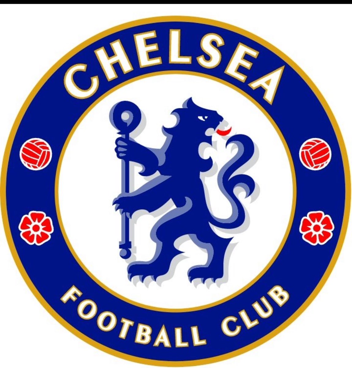 smartest girl on X tweet media