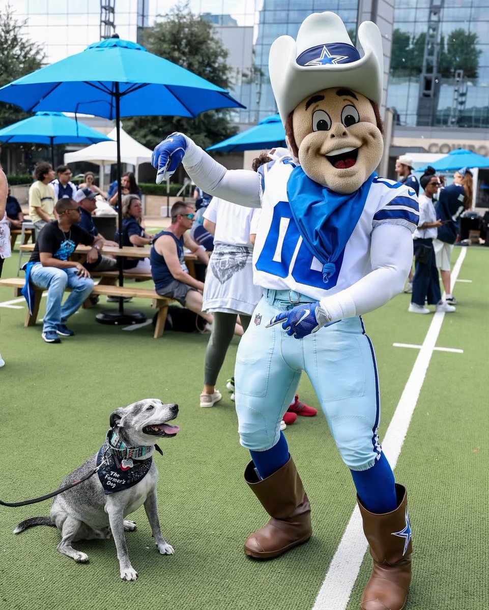 WeRateDogs tweet media