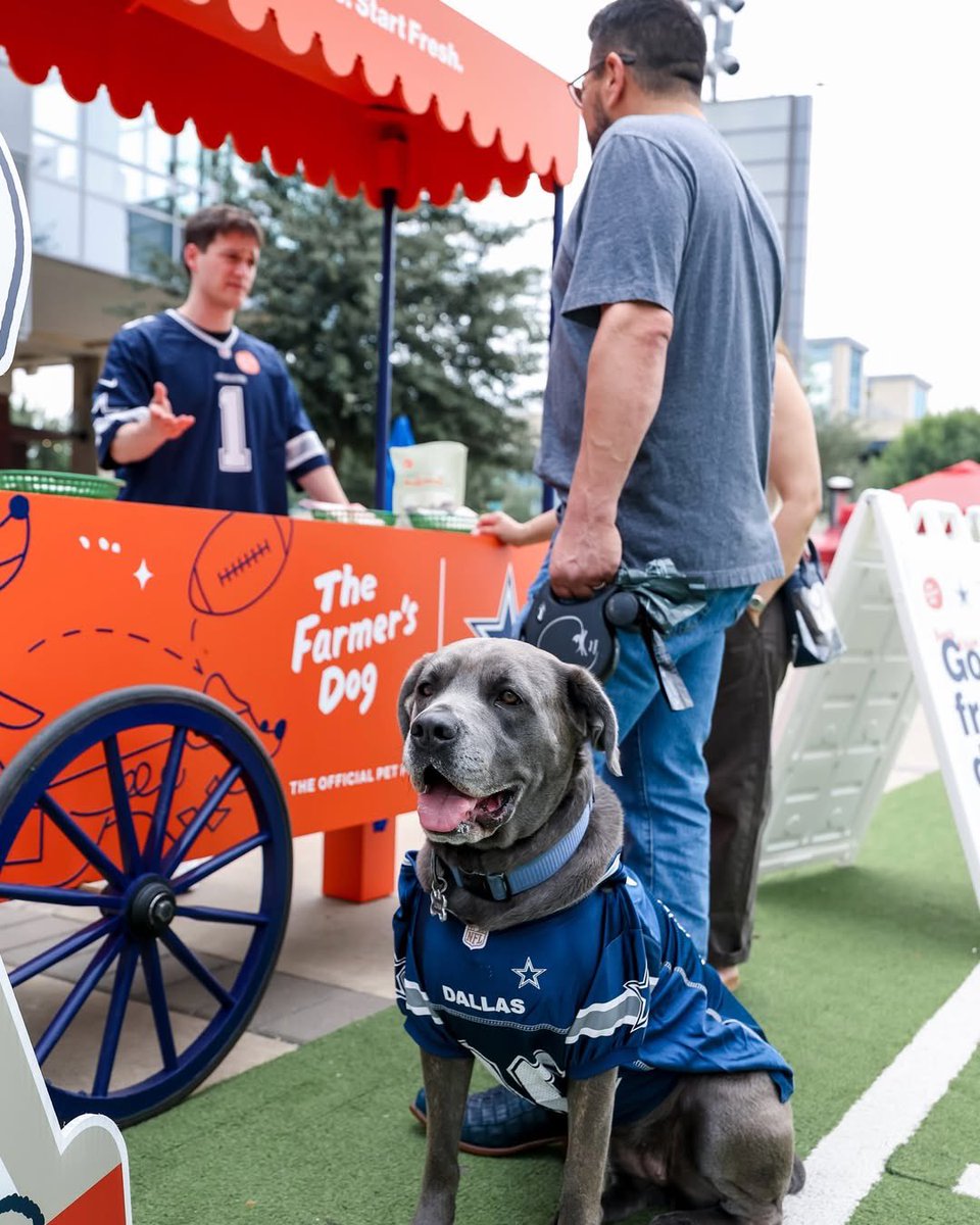 WeRateDogs tweet media