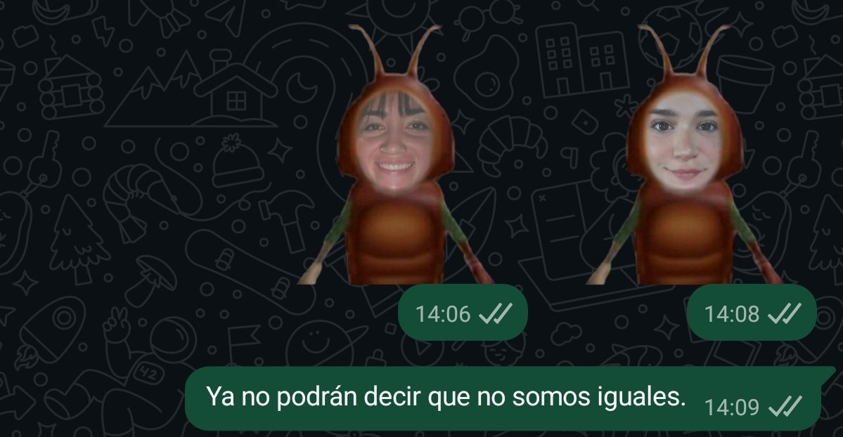 Ingargiola's tweet photo. Ser mi novia es básicamente: https://t.co/SLm3kXpobY