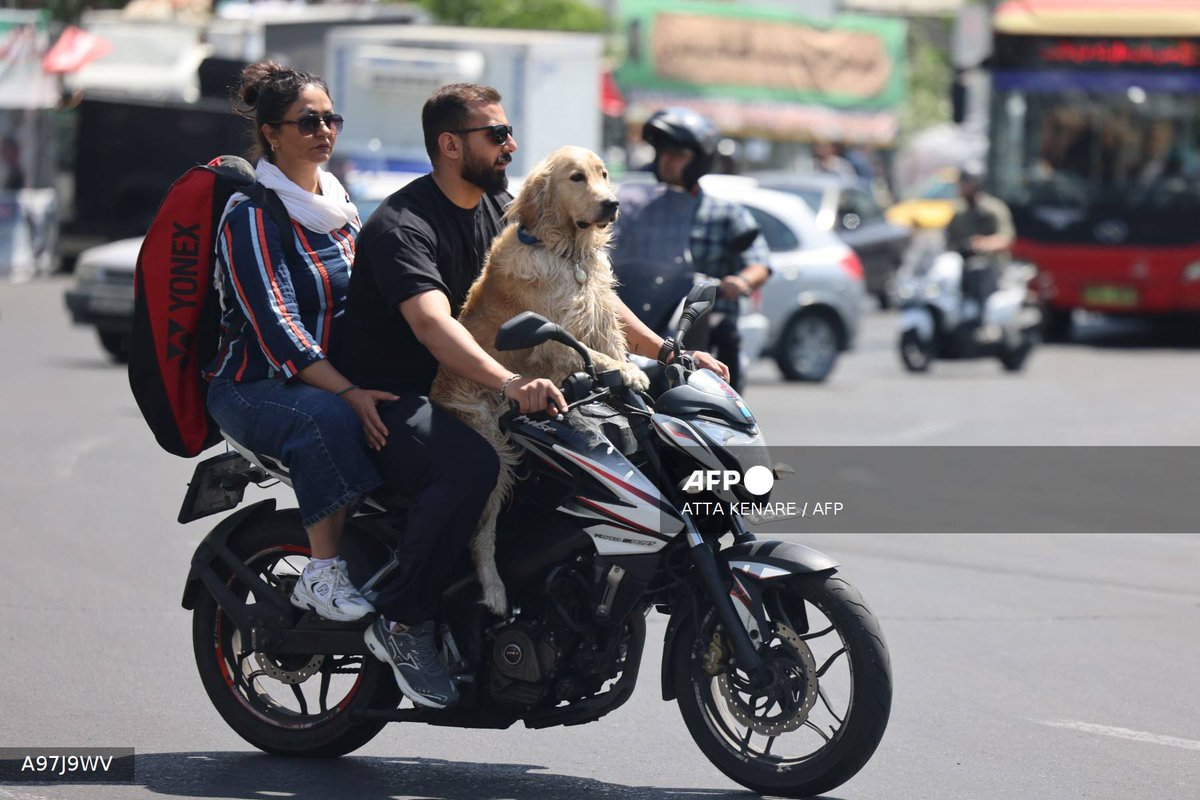 Ashok Swain tweet media