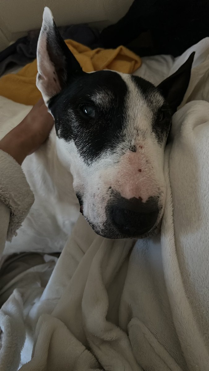 Jade🎐 tweet media