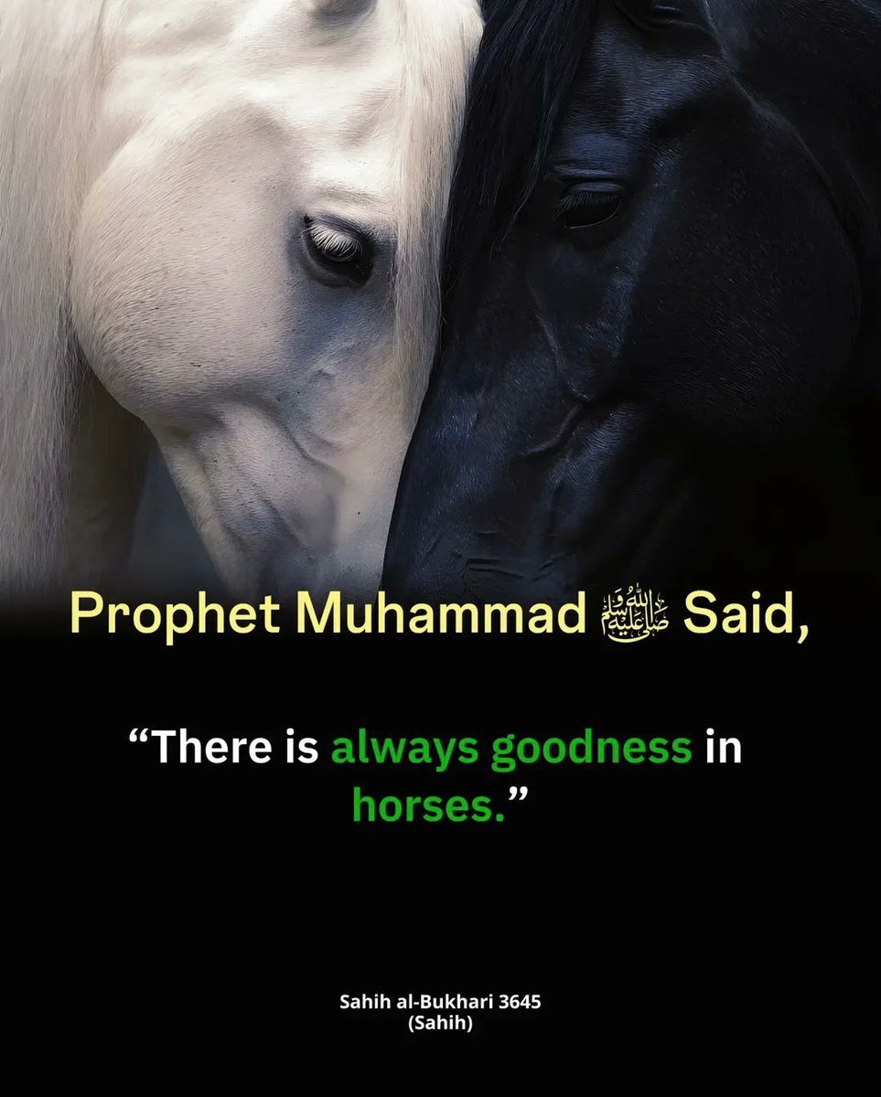 MuslimMatters tweet media
