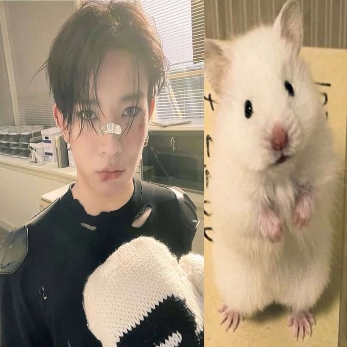 gisela; ENHYPEN IS 7 ♡ tweet media