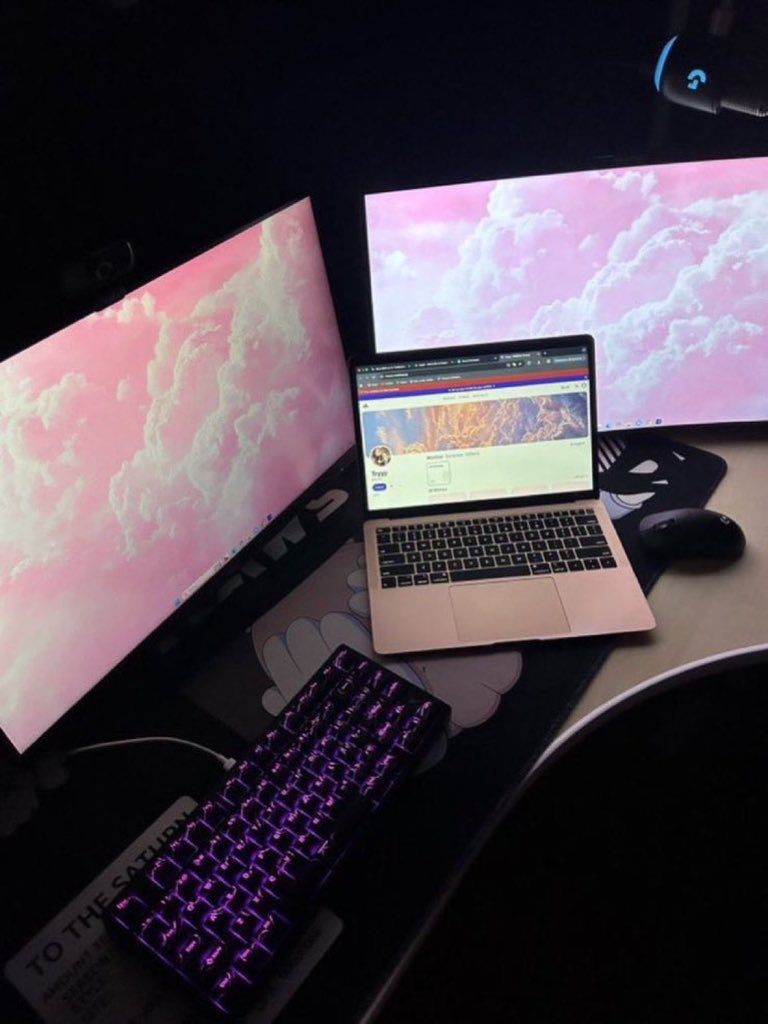 Mistress Bella tweet media