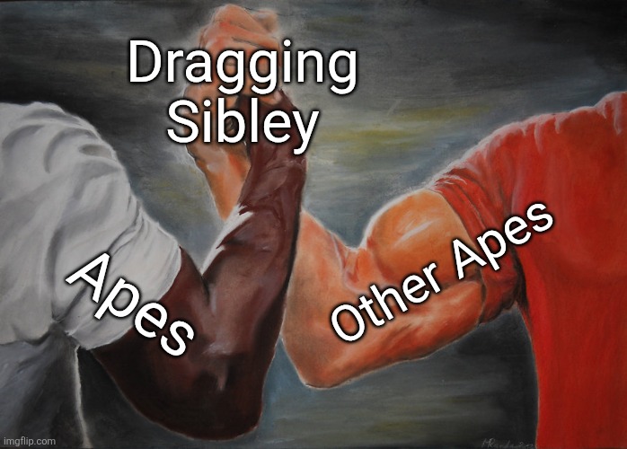 BlimpCo Omniversal tweet media