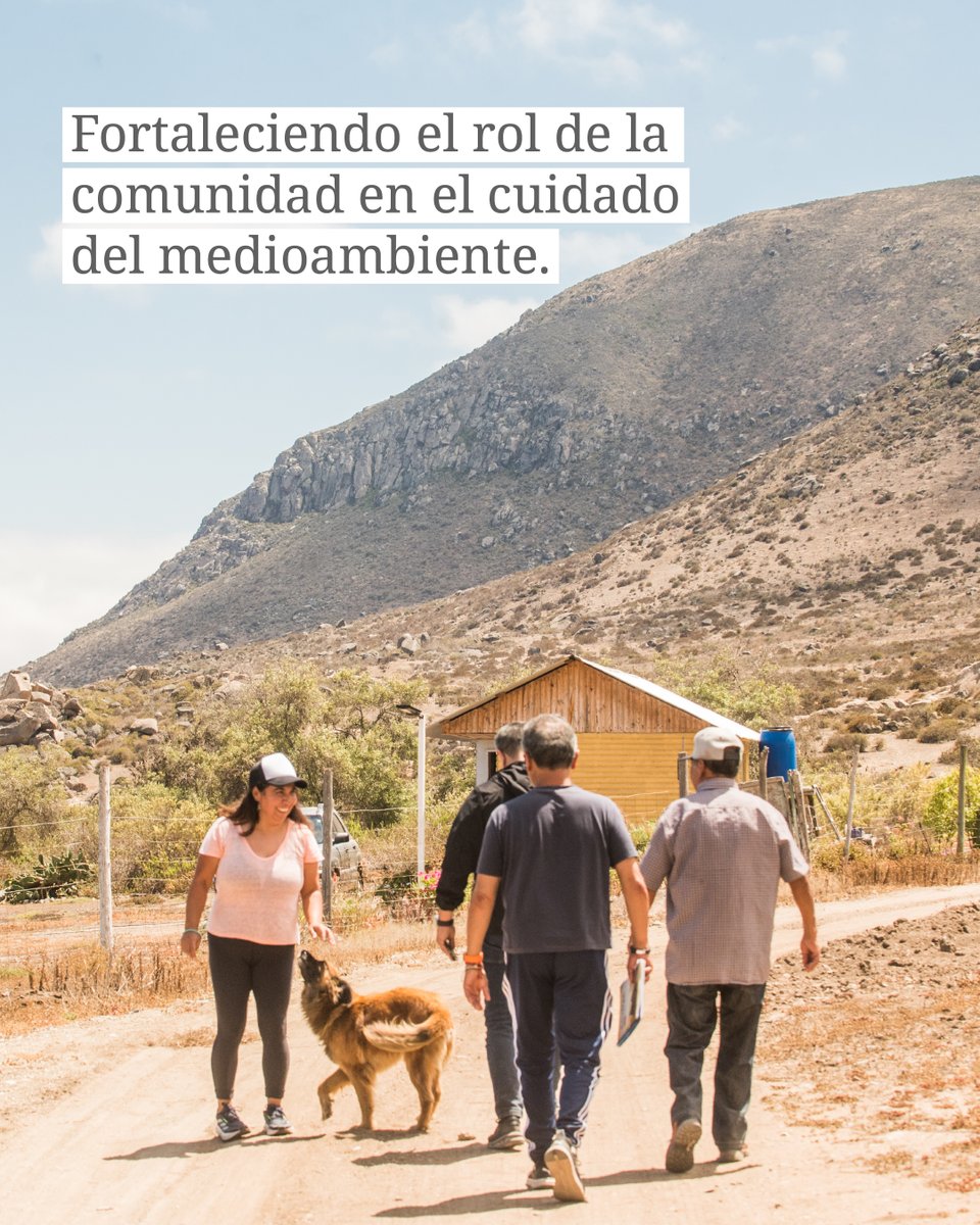 conocedominga tweet media