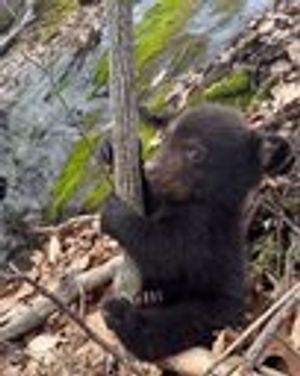 Raul Xalid tweet media