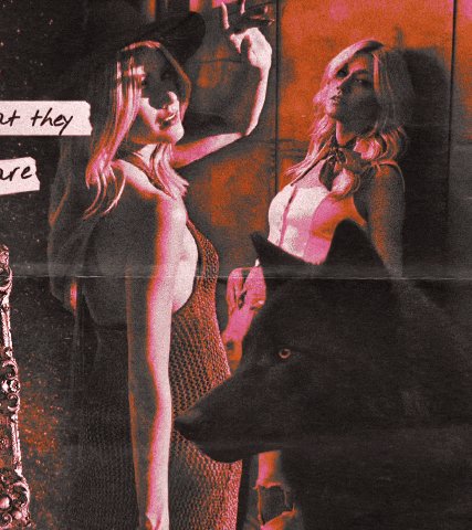 ᅠᅠᅠ﮼،𝓶𝖔𝖔𝖓ᅠ𓂃 ࣪˖ ִֶ♱ᅠ𝒽𝖔𝖜𝐥𝐞𝐫.ᐟᅠ ๋࣭⭑ tweet media