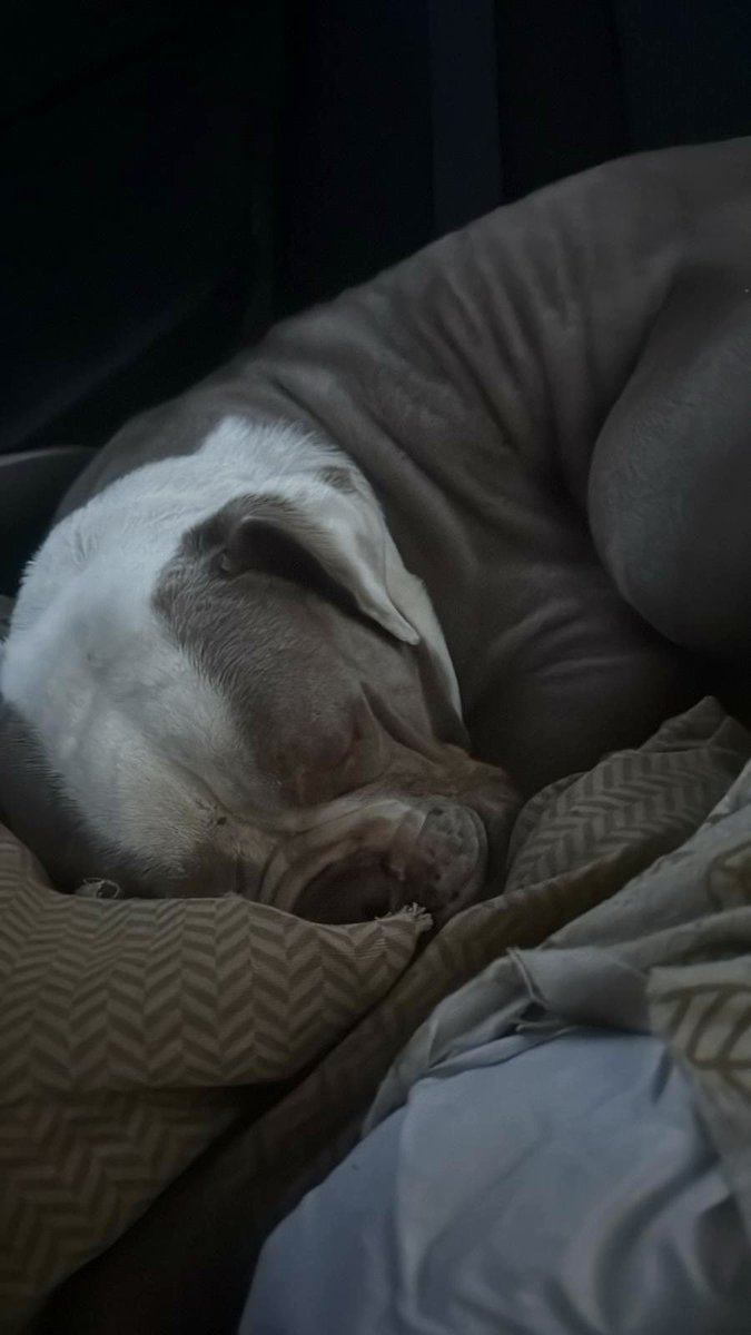 OGBaron94's tweet image. #done