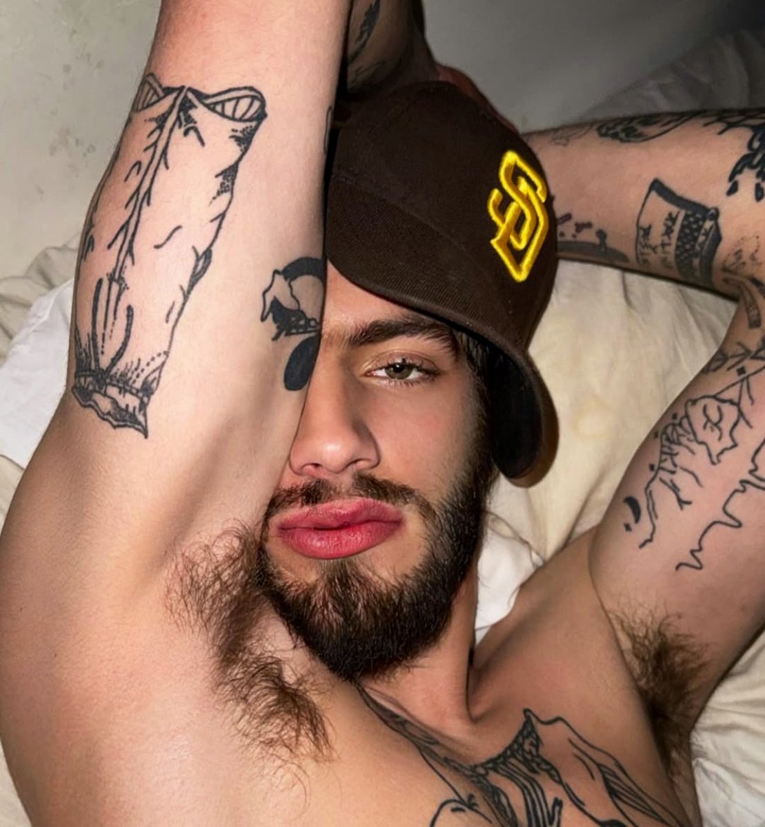 Sebastian tweet media