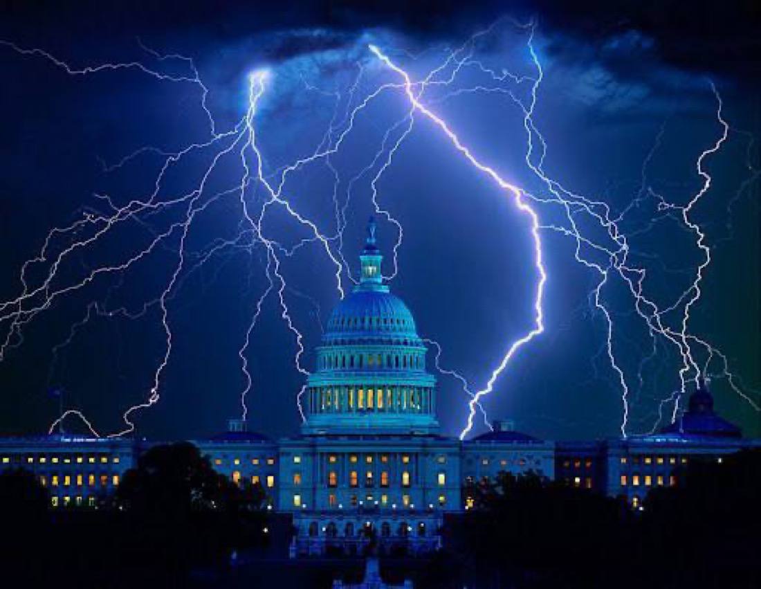 Roy Rogue tweet media