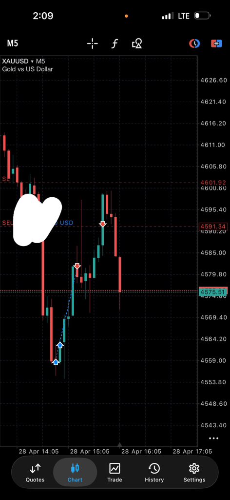 BYBFOREX tweet media