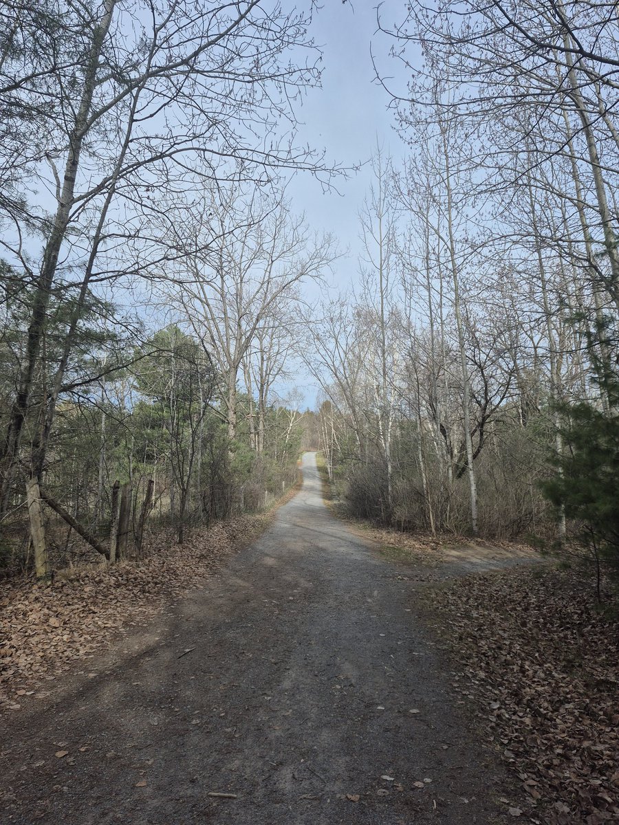 Karyn Curtis🇨🇦🐎 tweet media