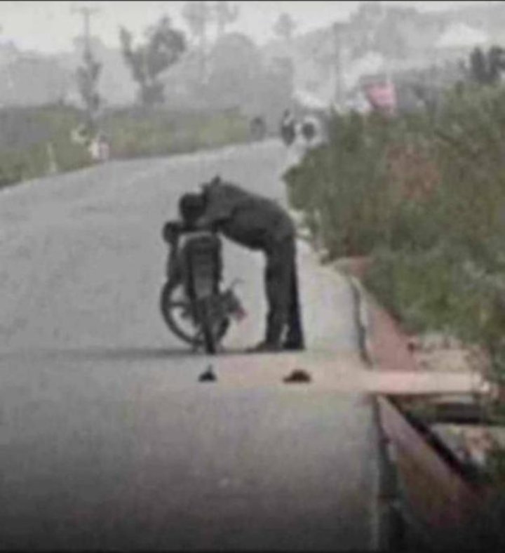 👻J4Y N47UR4L☠️🔥 tweet media