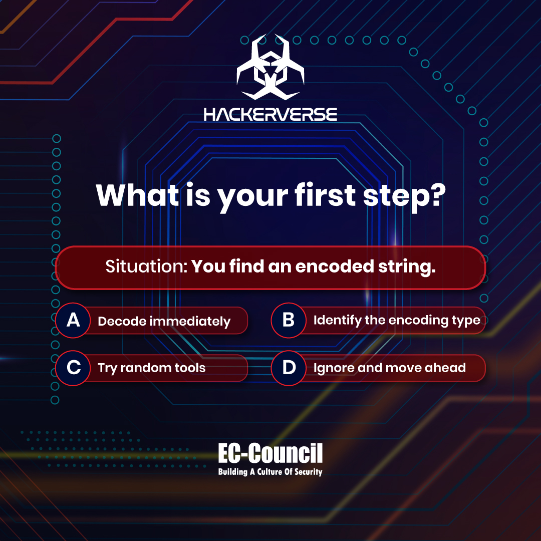 Hackerverse Official tweet media
