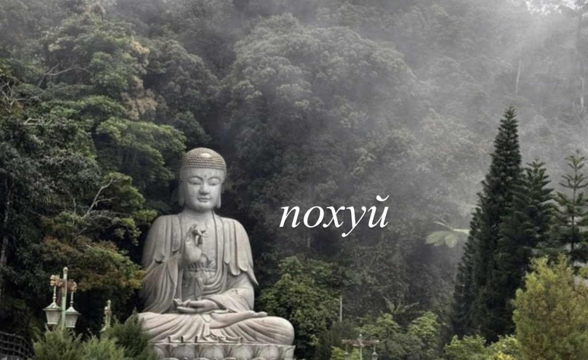 rigrsn06's tweet photo. 🧘🏻🧘🏻🧘🏻 https://t.co/hH79L4BrUE