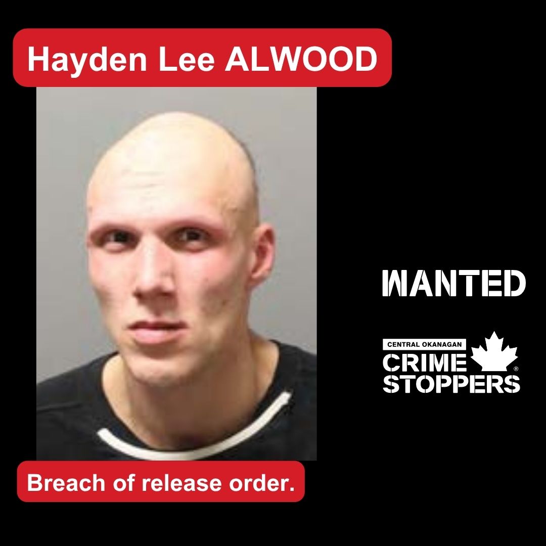 WANTED!
Hayden Lee ALWOOD
Wanted as of April 28, 2026:
Height: 6’ 1”
Weight: 225 lbs.
Hair: Bald/Brown
Eyes: Brown
Age: 31
File #2026-15839
To submit an anonymous tip visit crimestoppers.net or call 1-800-222-8477.