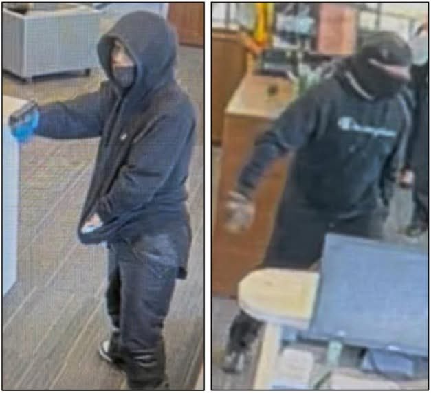 Daniel Coates tweet media