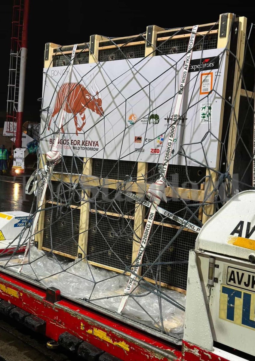 The Standard Digital tweet media