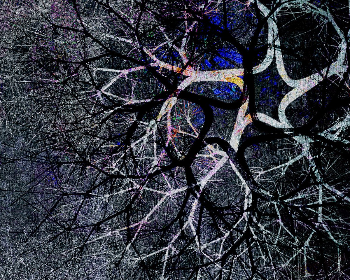 tffobs's tweet photo. Dakota Snaketail, ‘The Tendrils Have Caught Up’, 2026
(Digital collage) https://t.co/4rN3axDSWs