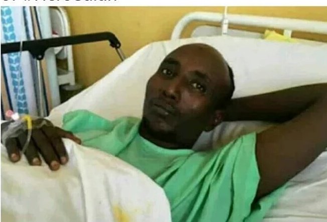 Ali AwDoll tweet media