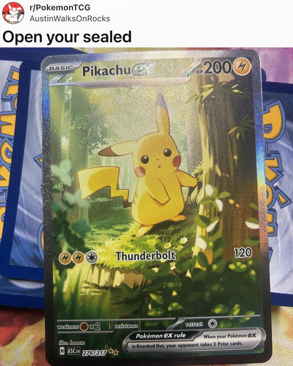 Fanatics Collect tweet media