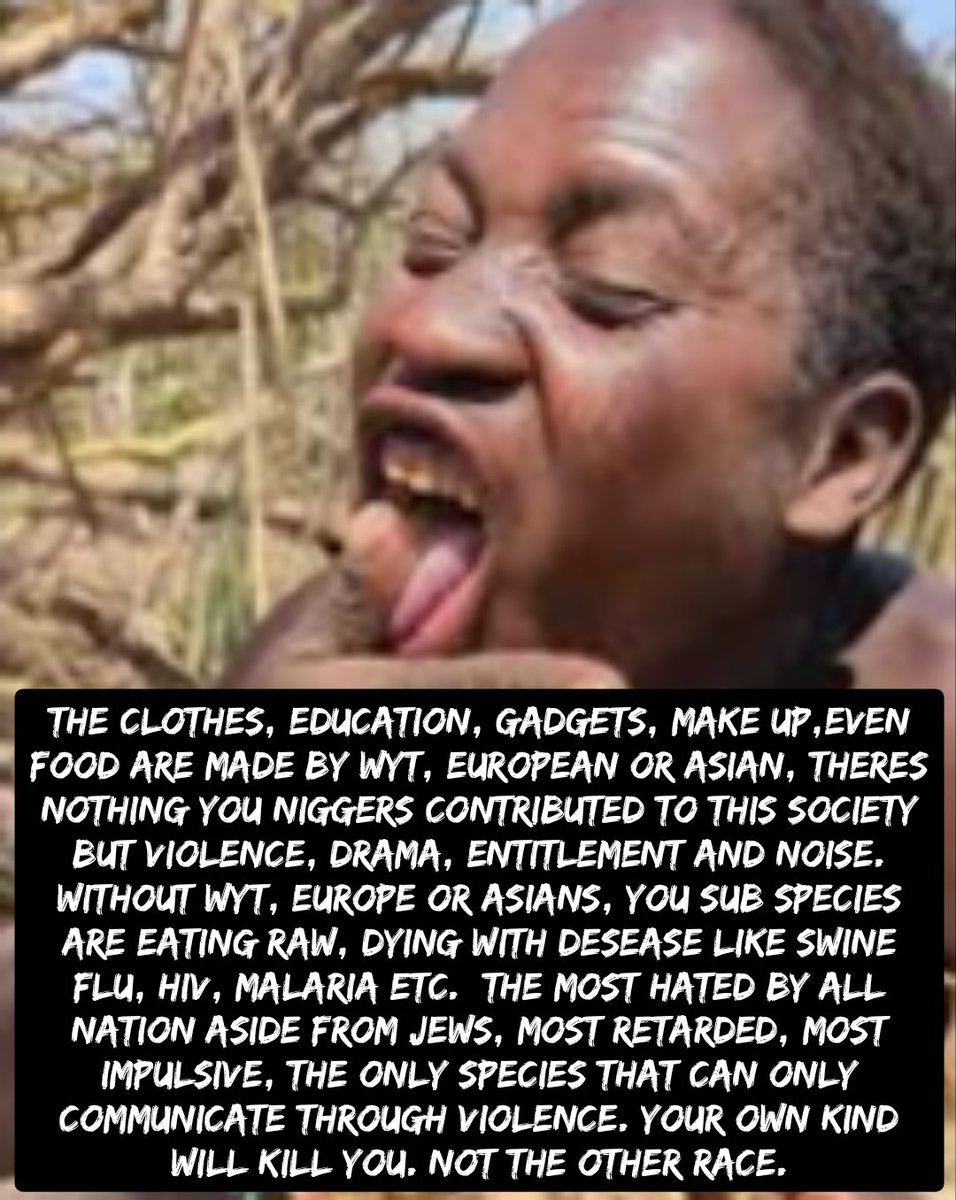 Plan D. Zombie tweet media