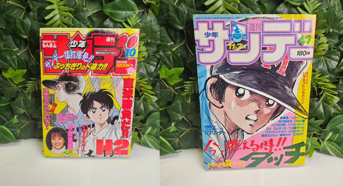 Konotoree tweet media