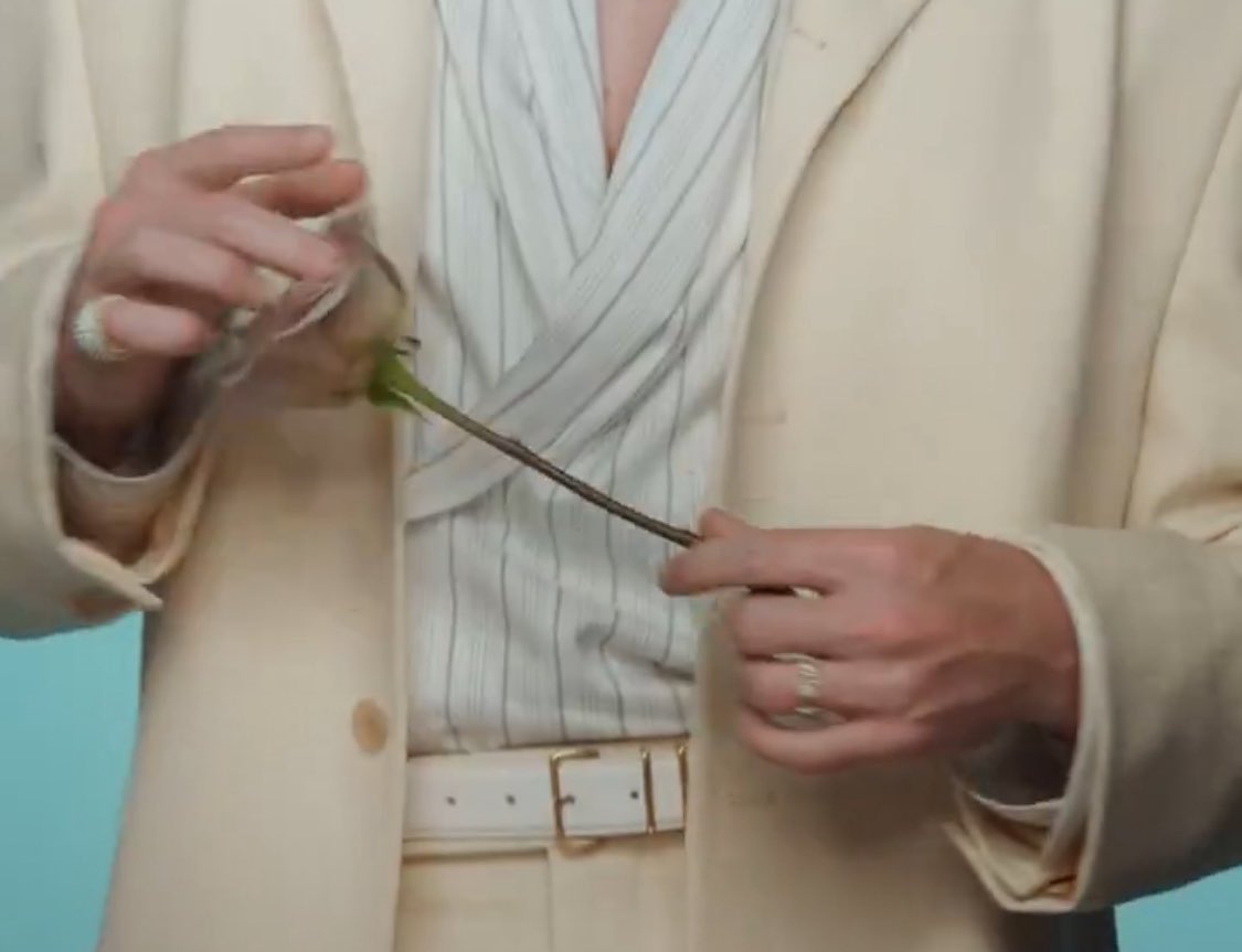 ‍‍ ً‍🐞 tweet media