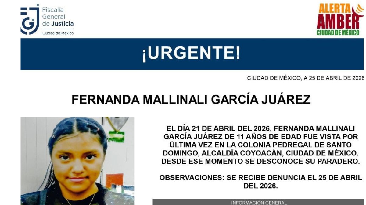 JornadaEdomex's tweet image. 🔴#AlertaAmber: Se busca a Fernanda Mallinali García Juárez de 11 años, desapareció en Coyoacán, #CDMX

lajornadaestadodemexico.com/alerta-amber-s…
