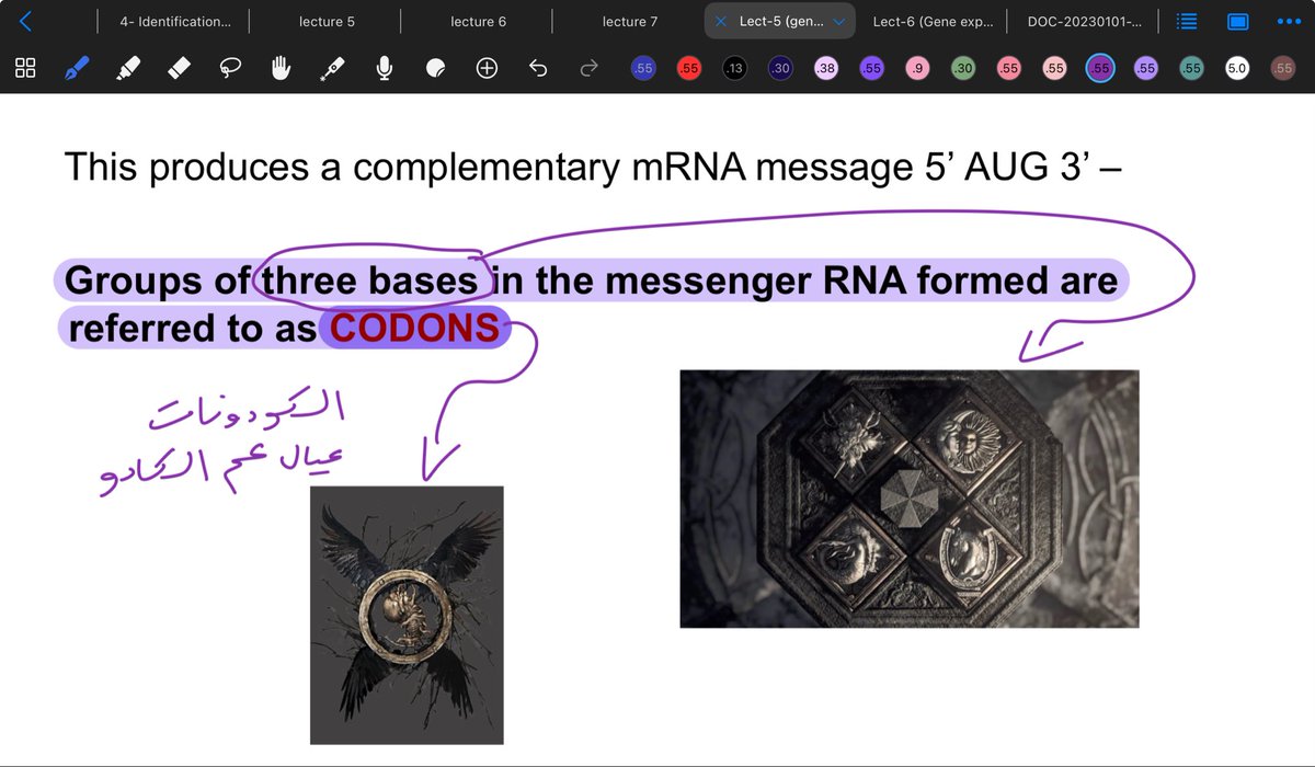 دانتي tweet media