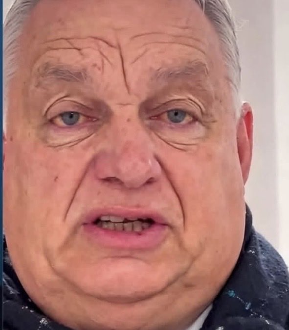 Kritischer Beobachter tweet media